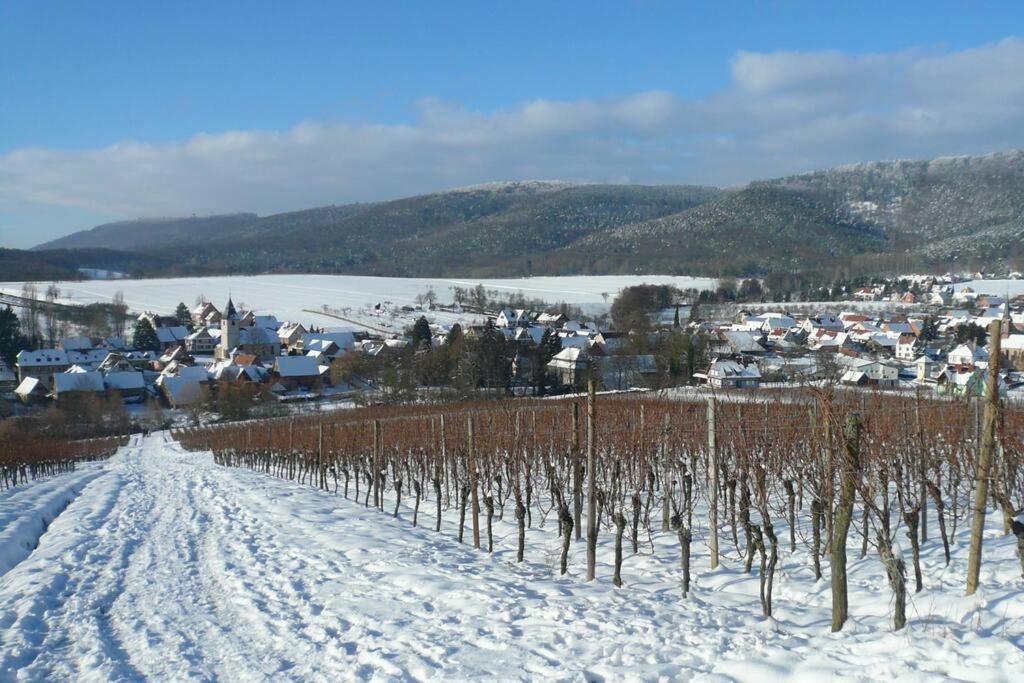 Gite Haury Cleebourg Exteriör bild